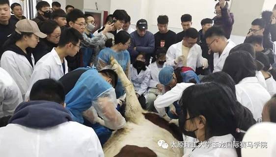 說明: e160b4f07d5a8454f3b36e605dc82ce7